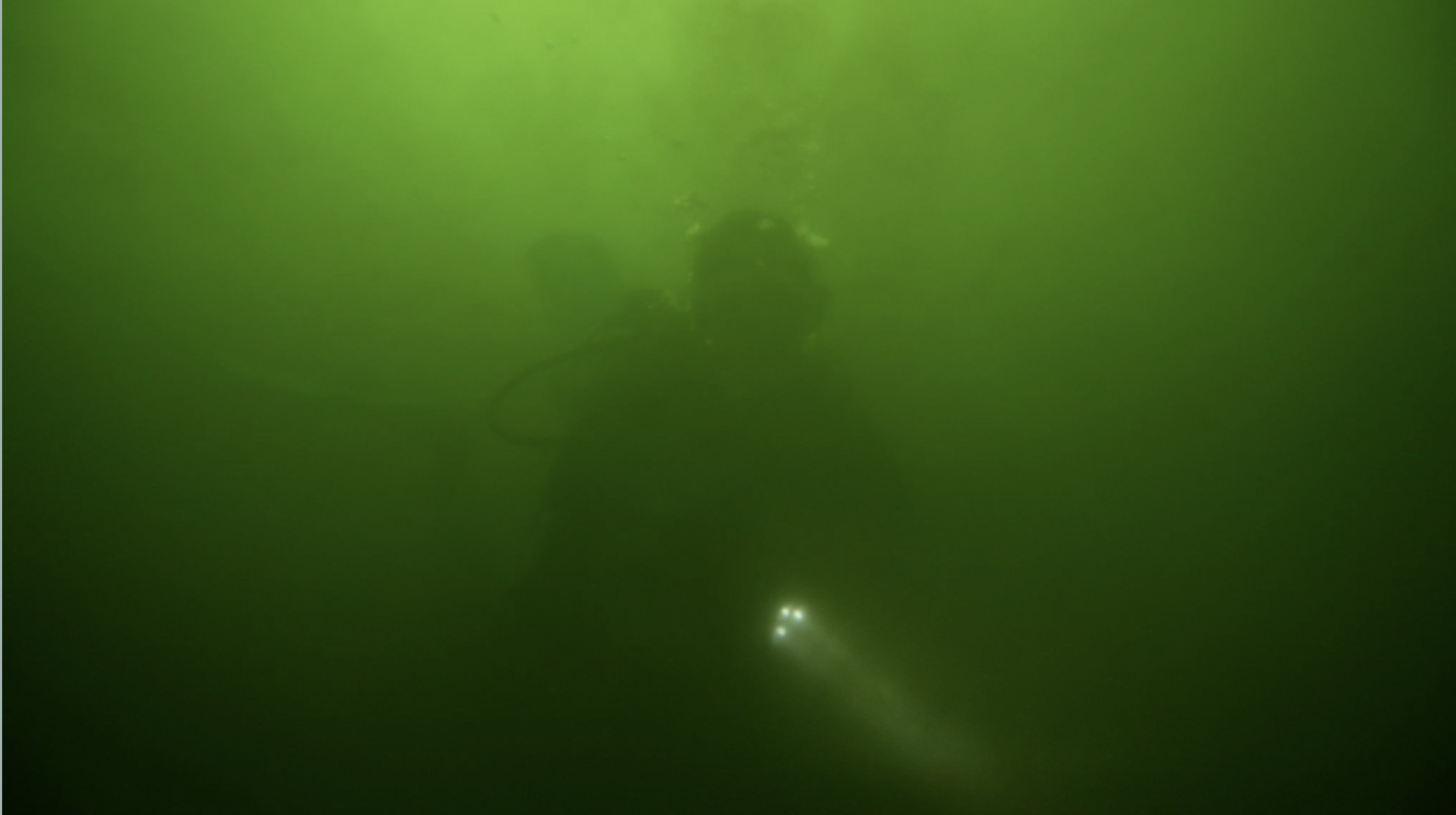 A diver in green misty water.